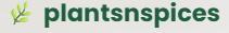 plantsnspices.com